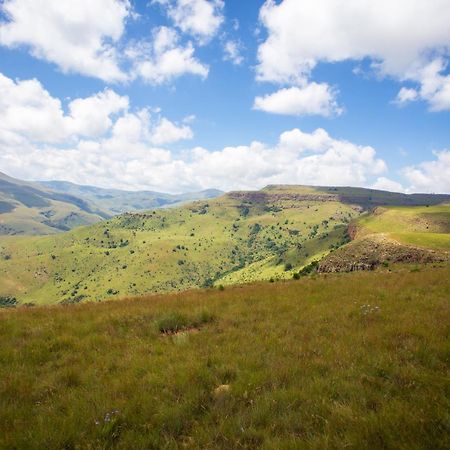 Paardeplaats Nature Retreat Rhenosterhoek Dış mekan fotoğraf