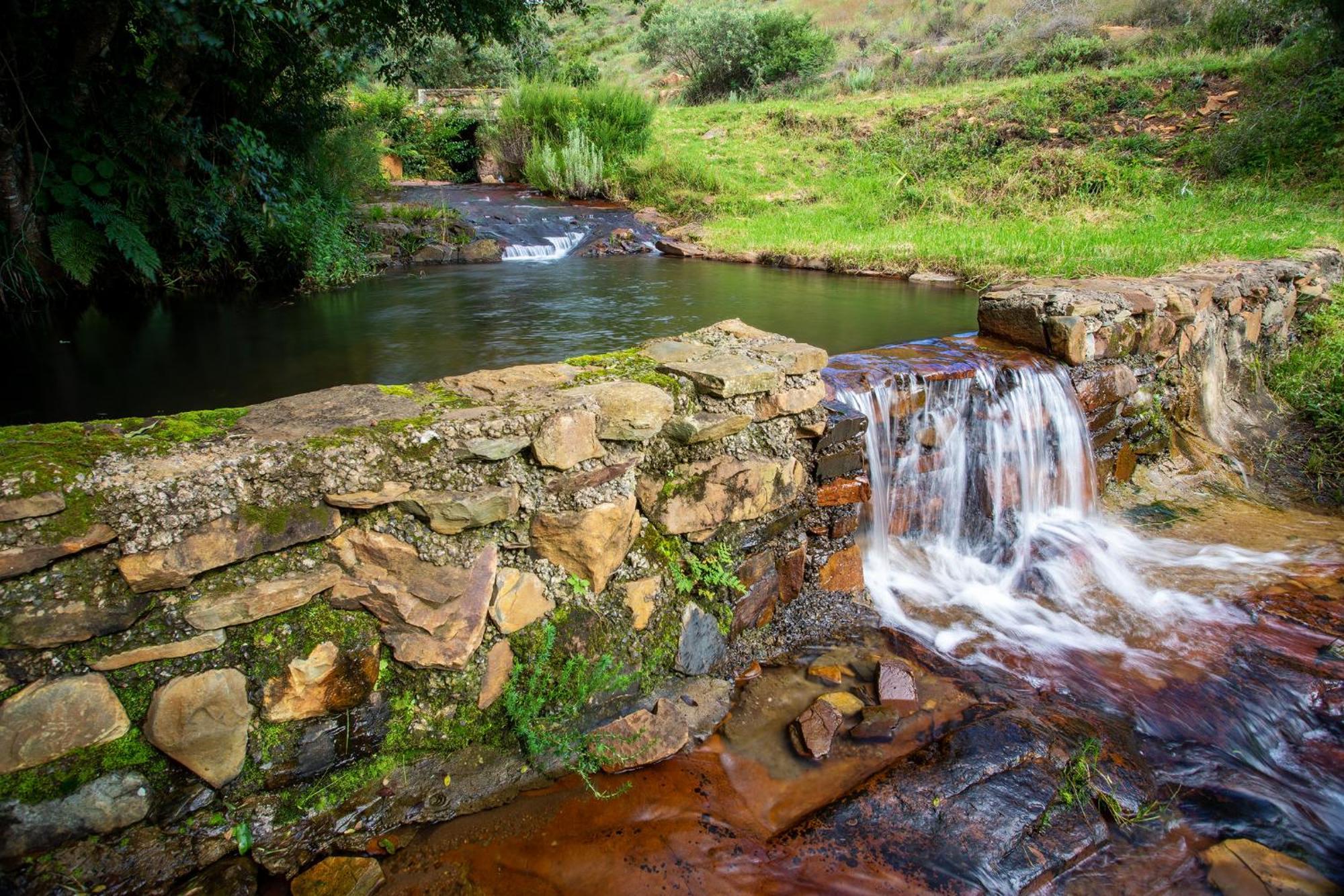 Paardeplaats Nature Retreat Rhenosterhoek Dış mekan fotoğraf