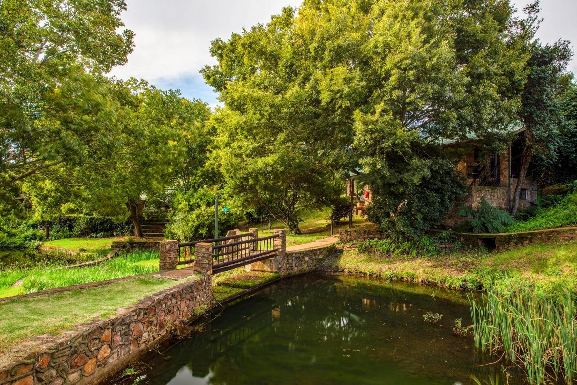 Paardeplaats Nature Retreat Rhenosterhoek Dış mekan fotoğraf