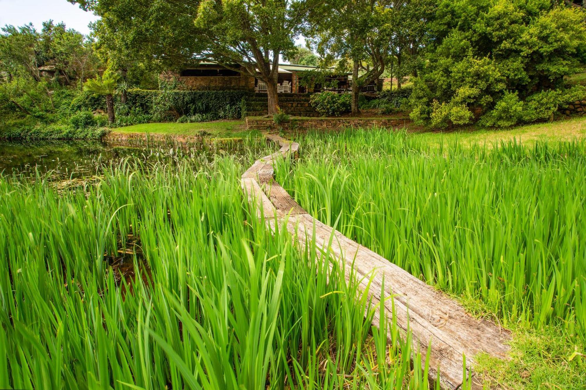 Paardeplaats Nature Retreat Rhenosterhoek Dış mekan fotoğraf