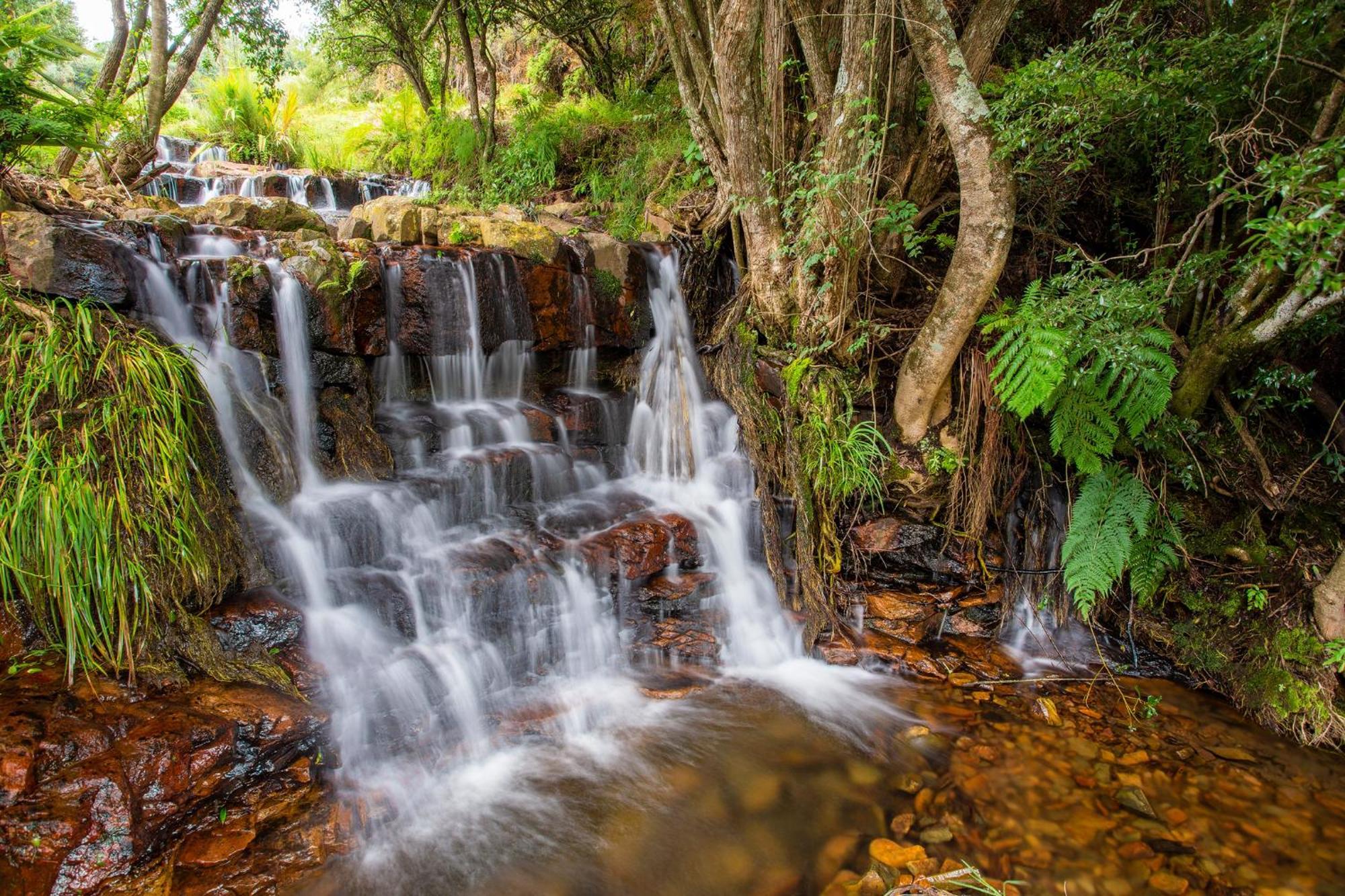 Paardeplaats Nature Retreat Rhenosterhoek Dış mekan fotoğraf