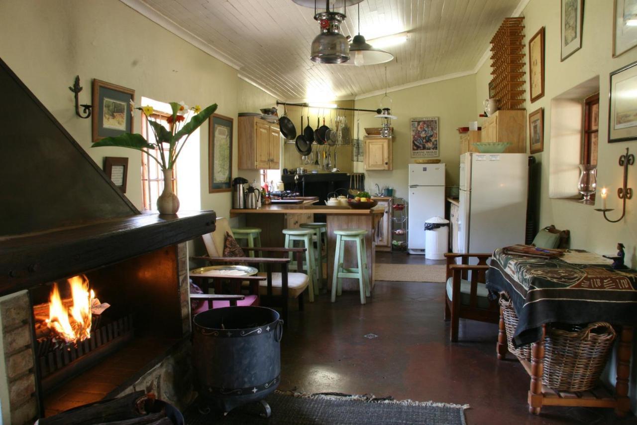 Paardeplaats Nature Retreat Rhenosterhoek Dış mekan fotoğraf