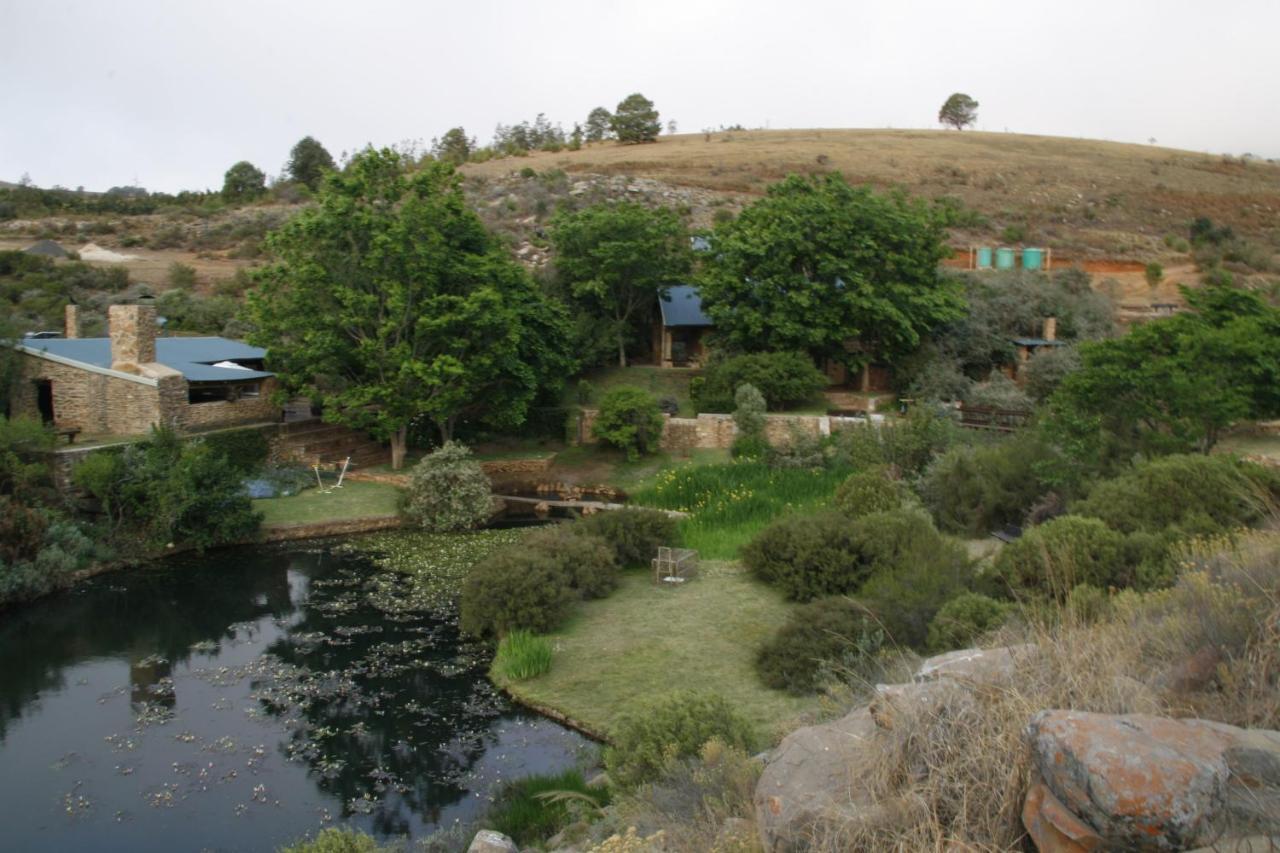 Paardeplaats Nature Retreat Rhenosterhoek Dış mekan fotoğraf